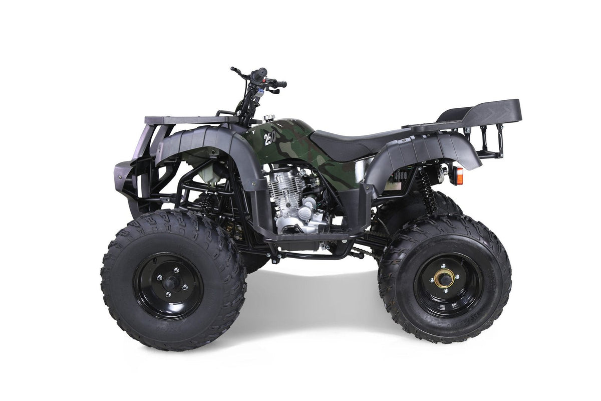 Taotao 250 Rhino Adult Utility ATV